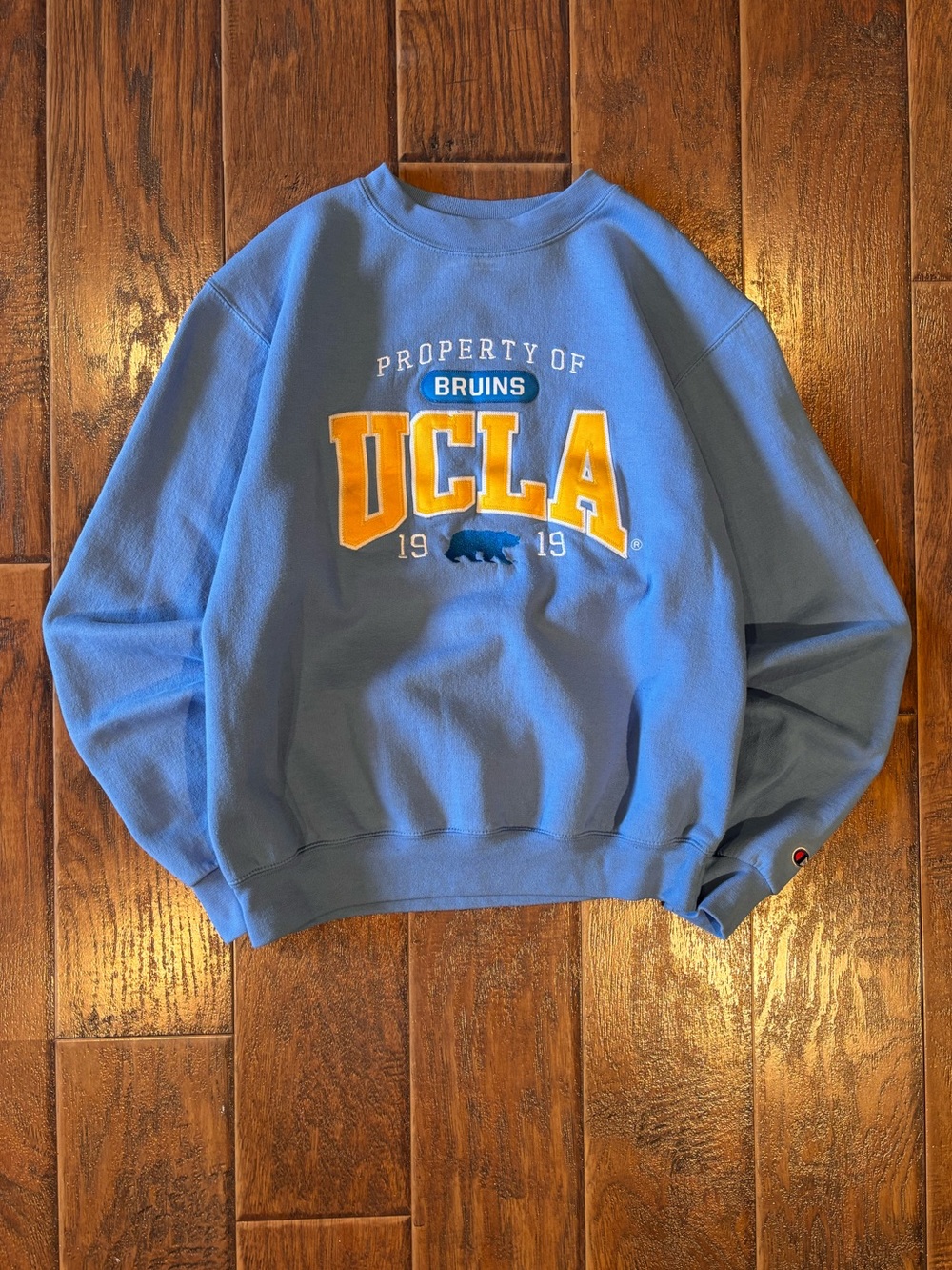 Vintage Y2K UCLA Champion Crewneck